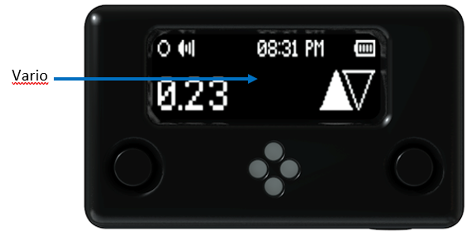 Vario Display