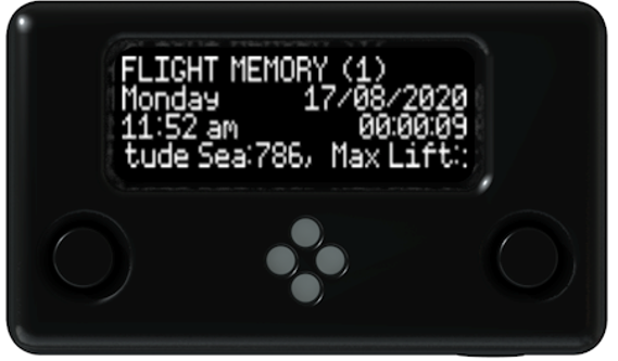 Flight Memory Window